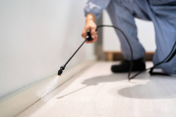 Licensed Termite Control service in Fowlerville, MI - Nex Pest Control