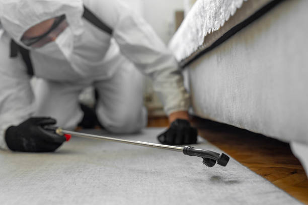 Professional Termite Control technician working in Fowlerville, MI