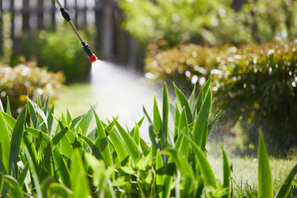 24/7 Emergency Termite Control experts in Fowlerville, MI