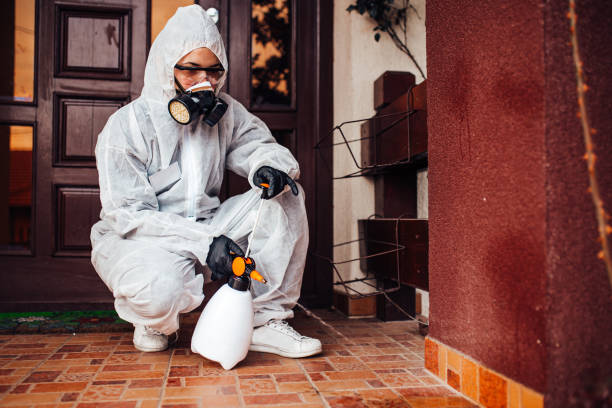 Reliable Termite Control contractor in Fowlerville, MI by Nex Pest Control