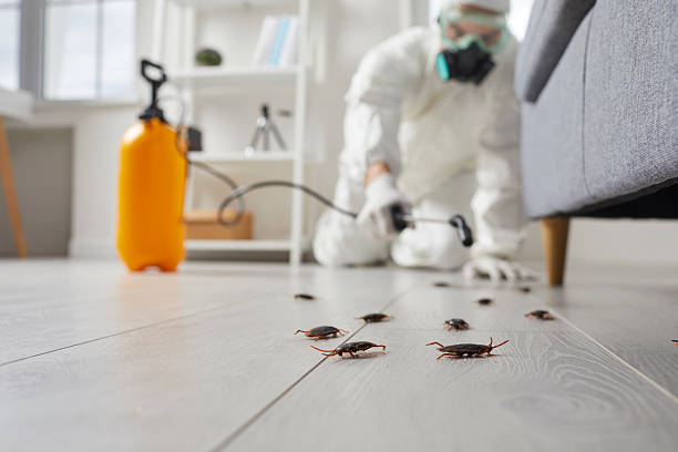 Affordable Termite Control solutions in Fowlerville, MI
