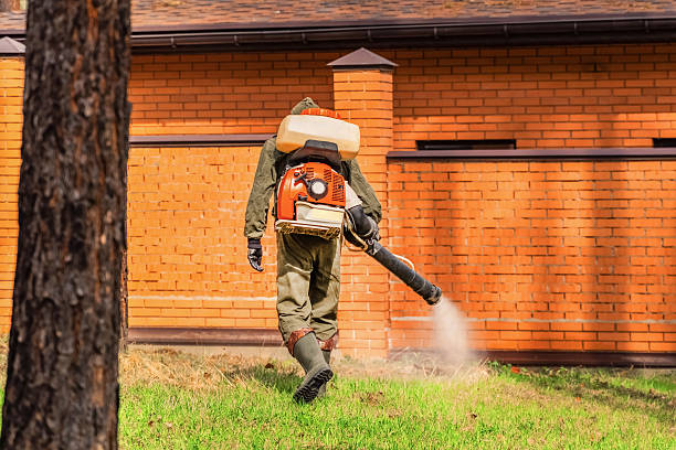 Top rated local Termite Control specialists in Fowlerville, MI